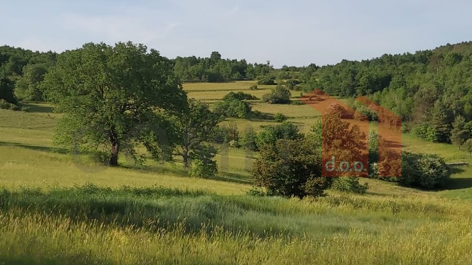 Grožnjan, kuća u nizu