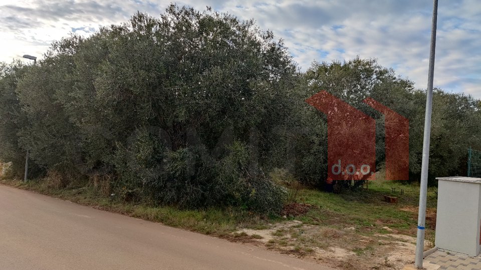 Land, 700 m2, For Sale, Umag - Murine