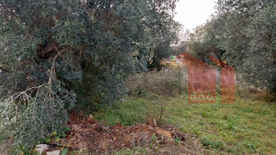 Land, 700 m2, For Sale, Umag - Murine