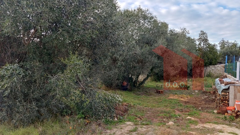 Terreno, 700 m2, Vendita, Umag - Murine